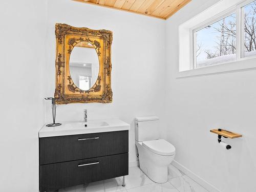 Powder room - 234 Ch. Des Cormiers, Piedmont, QC - Indoor Photo Showing Bathroom