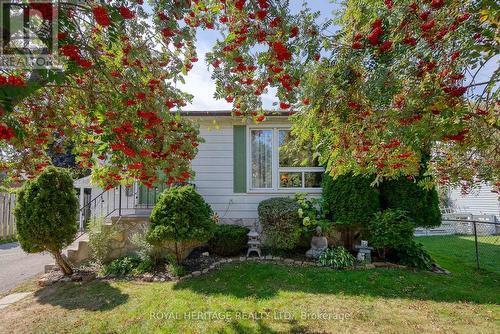241 Sinclair St, Cobourg, ON - Outdoor