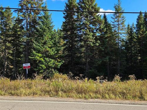 Land/Lot - Ch. De Notre-Dame-De-La-Merci, Notre-Dame-De-La-Merci, QC 