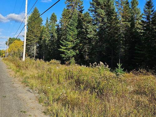 Land/Lot - Ch. De Notre-Dame-De-La-Merci, Notre-Dame-De-La-Merci, QC 