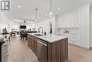 3285 Tullio Drive, Lasalle, ON  - Indoor Photo Showing Kitchen With Upgraded Kitchen 