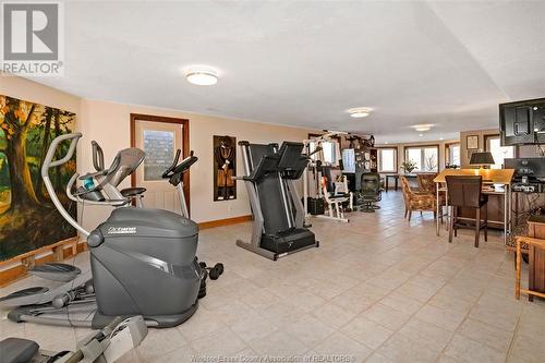 7343 Howard, Amherstburg, ON - Indoor Photo Showing Gym Room