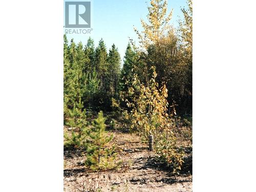 Lot 16 Clarkson Road, Prince George, BC 