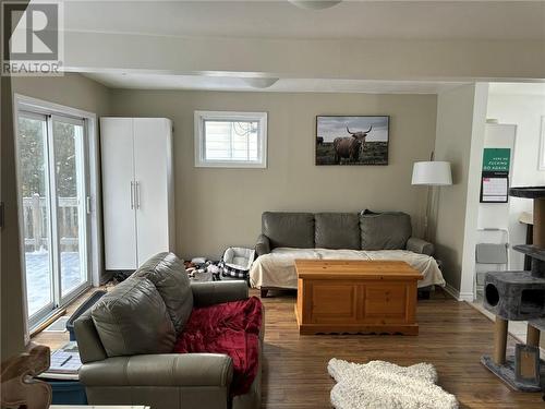 119 Douglas Street, Sudbury, ON - Indoor Photo Showing Living Room