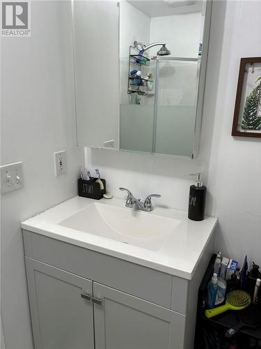119 Douglas Street, Sudbury, ON - Indoor Photo Showing Bathroom