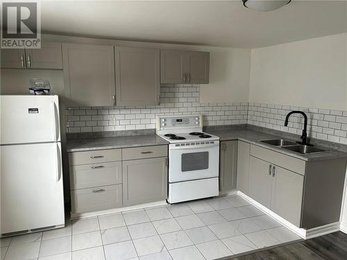 250 Bond Street, Sudbury, ON - Indoor Photo Showing Kitchen With Double Sink