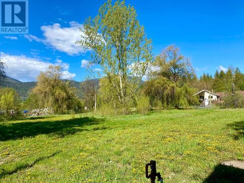 1800 3 Highway, Christina Lake, BC - Outdoor With View