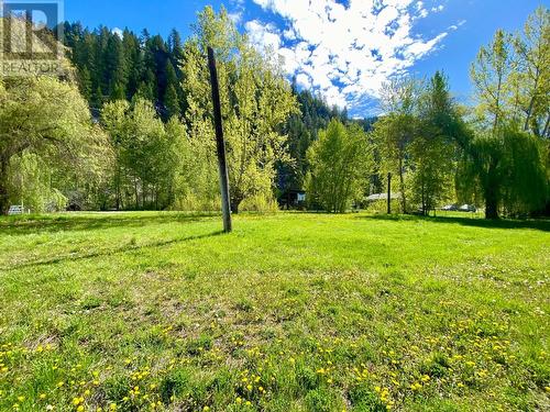 1800 3 Highway, Christina Lake, BC - Outdoor With View