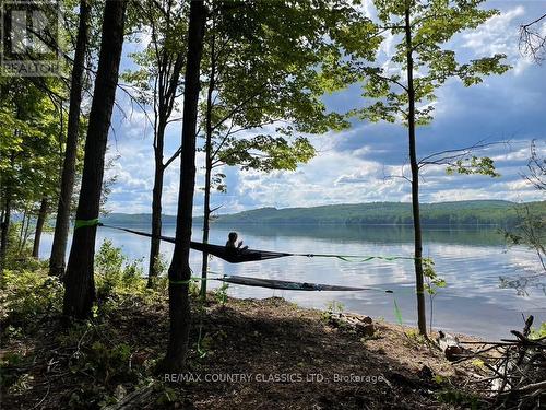 478 Lakewoods Drive, Madawaska Valley, ON - Outdoor With Body Of Water With View