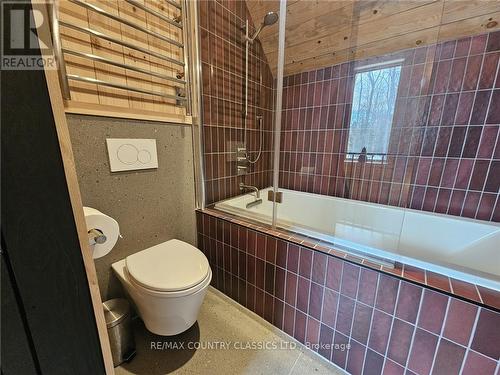 478 Lakewoods Drive, Madawaska Valley, ON - Indoor Photo Showing Bathroom