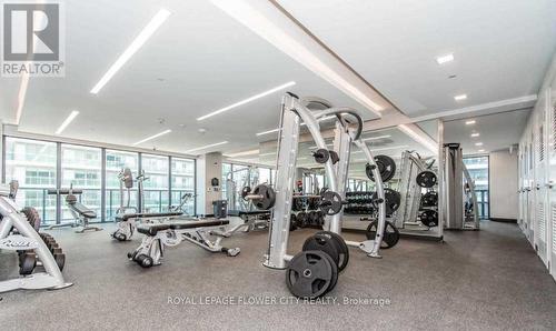225 - 30 Shore Breeze Drive, Toronto, ON - Indoor Photo Showing Gym Room