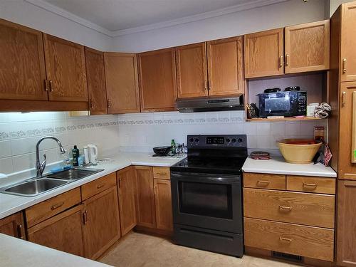 219 First Street N, Kenora, ON - Indoor Photo Showing Kitchen With Double Sink