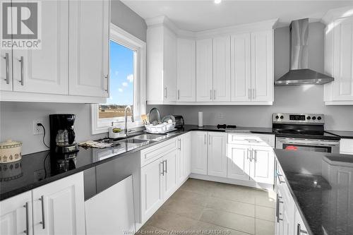 99 Kingsbridge Drive, Amherstburg, ON - Indoor Photo Showing Kitchen With Double Sink