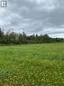 Lot Ha21-5 945 Route, Haute-Aboujagane, NB 