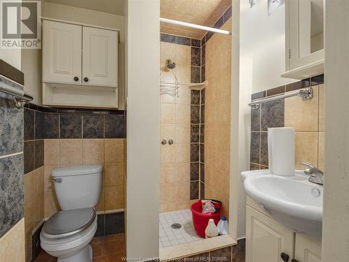 401 Parent Avenue, Windsor, ON - Indoor Photo Showing Bathroom