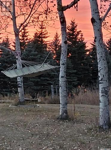 Gardner Acreage, Preeceville Rm No. 334, SK - Outdoor With View