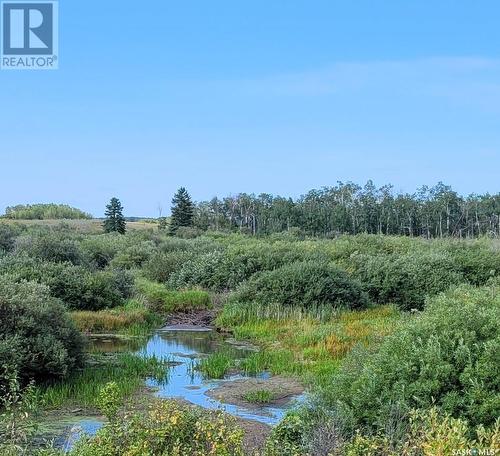 Gardner Acreage, Preeceville Rm No. 334, SK - Outdoor With View