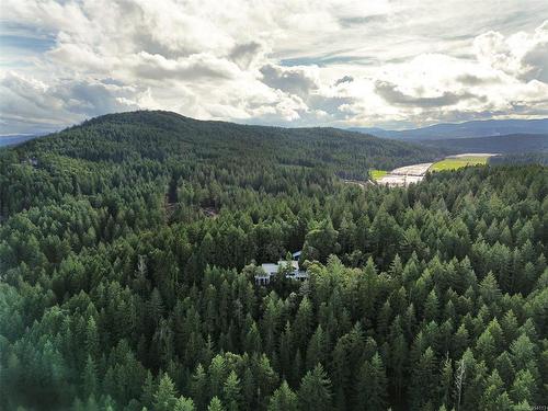 3875 Leaside Rd, Cobble Hill, BC - Outdoor With View