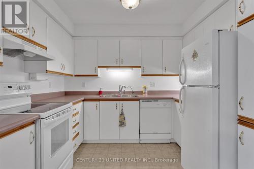 211 - 8 Huron Street, Kawartha Lakes (Lindsay), ON - Indoor Photo Showing Kitchen With Double Sink