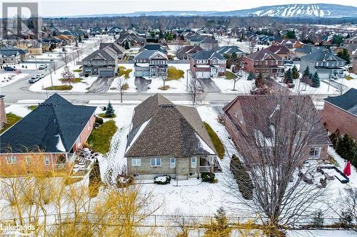 11 Mair Mills Dr, Collingwood, ON - Outdoor With View