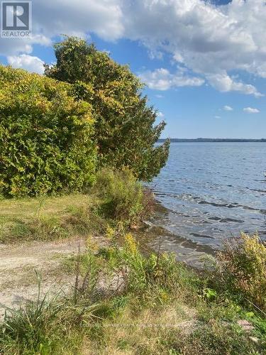 10 Elm St, Kawartha Lakes, ON - Outdoor With Body Of Water With View