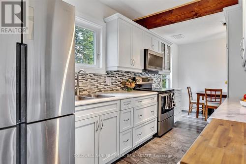 10 Elm St, Kawartha Lakes, ON - Indoor Photo Showing Kitchen With Double Sink With Upgraded Kitchen
