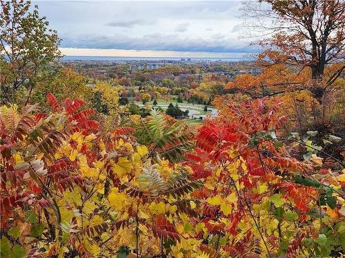 Fall views of Golf course - 424 Mountain Brow Boulevard, Hamilton, ON - Outdoor With View
