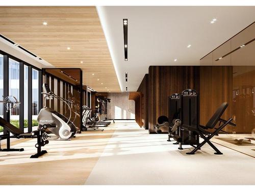 Salle d'exercice - 702-1200 Rue Drummond, Montréal (Ville-Marie), QC - Indoor Photo Showing Gym Room