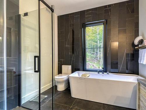 Salle de bains - 565 Ch. Du Refuge, Lac-Supérieur, QC - Indoor Photo Showing Bathroom