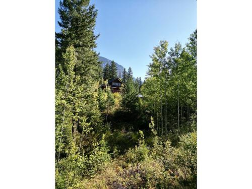 1561 Lavallee Road, Golden, BC - Outdoor With View
