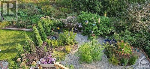Summer garden - NO REAR NEIGHBOURS! - 1844 Glencrest Road, Kemptville, ON - Outdoor