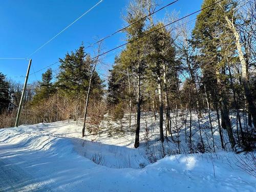 Vue d'ensemble - Rue Hazlett-Hicks, Gore, QC 