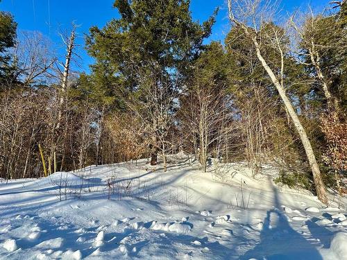 Vue d'ensemble - Rue Hazlett-Hicks, Gore, QC 