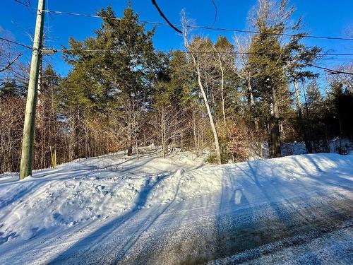 Vue d'ensemble - Rue Hazlett-Hicks, Gore, QC 