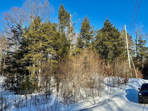 Vue d'ensemble - Rue Hazlett-Hicks, Gore, QC 