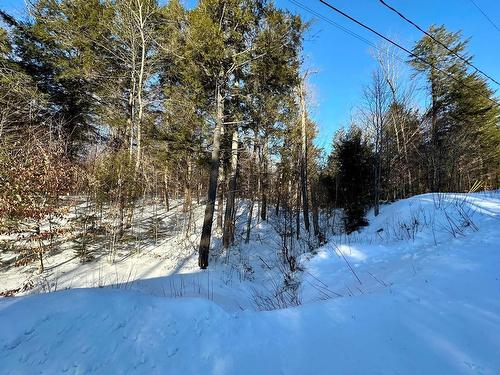 Vue d'ensemble - Rue Hazlett-Hicks, Gore, QC 