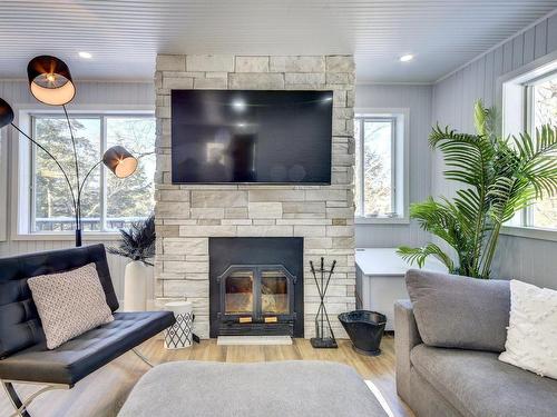 Salon - 22 Rue De La Pointe, La Minerve, QC - Indoor Photo Showing Living Room With Fireplace