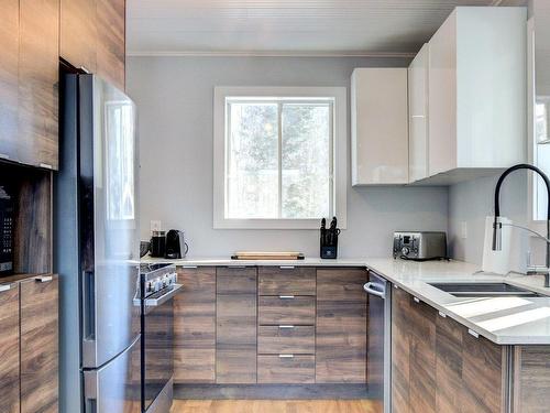 Cuisine - 22 Rue De La Pointe, La Minerve, QC - Indoor Photo Showing Kitchen With Double Sink