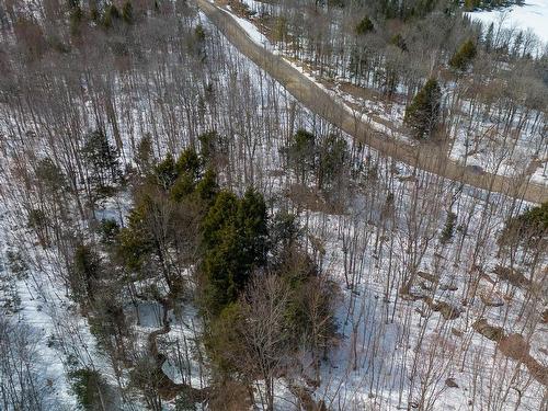 Overall view - 30 Ch. Des Huards, Mille-Isles, QC 