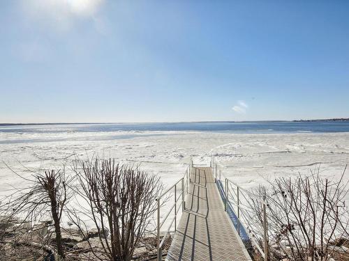 Bord de l'eau - 1830 Ch. Du Bord-Du-Lac-Lakeshore, Dorval, QC - Outdoor With Body Of Water With View