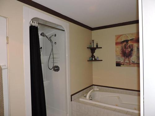 Salle de bains - 4210 Route Du Président-Kennedy, Notre-Dame-Des-Pins, QC - Indoor Photo Showing Bathroom