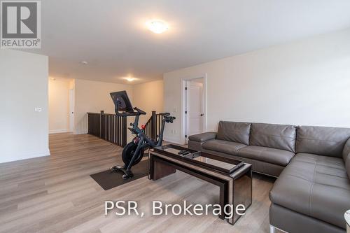 46 Great Falls Boulevard S, Hamilton, ON - Indoor Photo Showing Gym Room