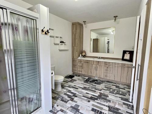 Salle de bains - 204 Rue Des Défricheurs, Saint-Pierre-Baptiste, QC - Indoor Photo Showing Bathroom