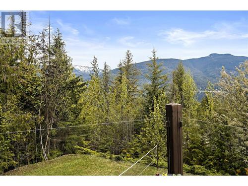 3983 Talin Place, Eagle Bay, BC - Outdoor With View