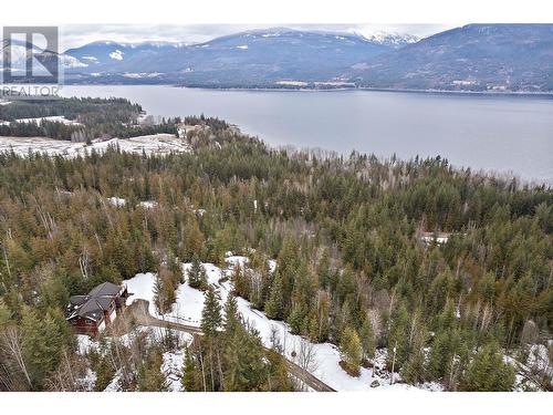 3983 Talin Place, Eagle Bay, BC - Outdoor With View