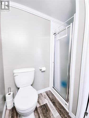33 Southcott Drive, Grand Falls-Windsor, NL - Indoor Photo Showing Bathroom