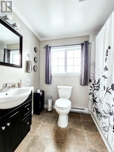 33 Southcott Drive, Grand Falls-Windsor, NL - Indoor Photo Showing Bathroom