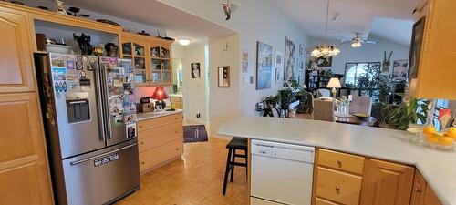 702 10Th Avenue, New Denver, BC - Indoor Photo Showing Kitchen