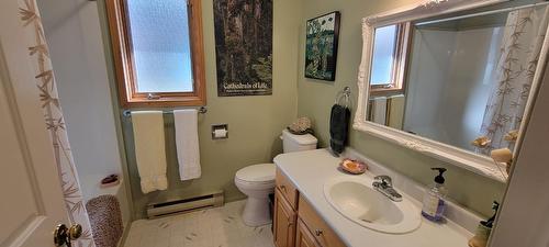 702 10Th Avenue, New Denver, BC - Indoor Photo Showing Bathroom