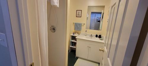 702 10Th Avenue, New Denver, BC - Indoor Photo Showing Bathroom